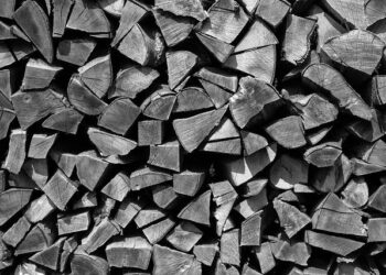 Austria’s smart-meter rules comply with EU privacy rules, EU court opinion says – MLex