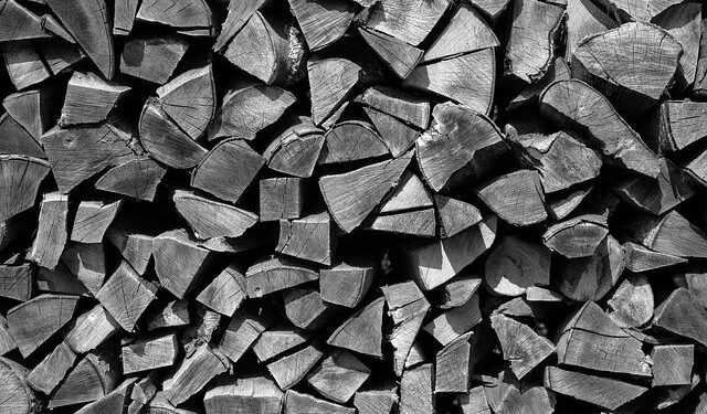 Austria’s smart-meter rules comply with EU privacy rules, EU court opinion says – MLex