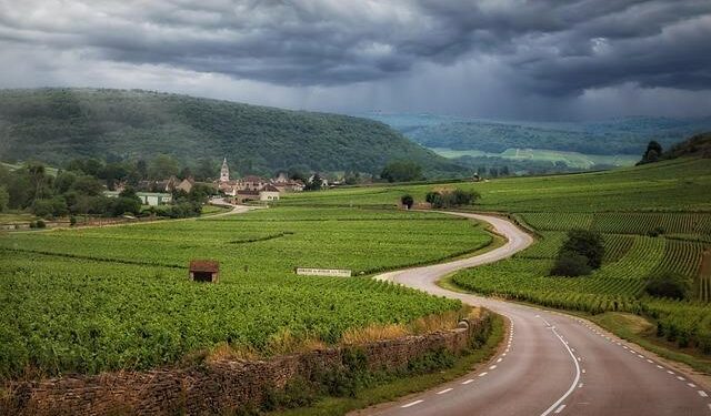 France corporate earnings week ahead – TradingView