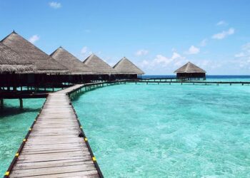 This eco bungalow is inspired by a greenhouse – wallpaper.com