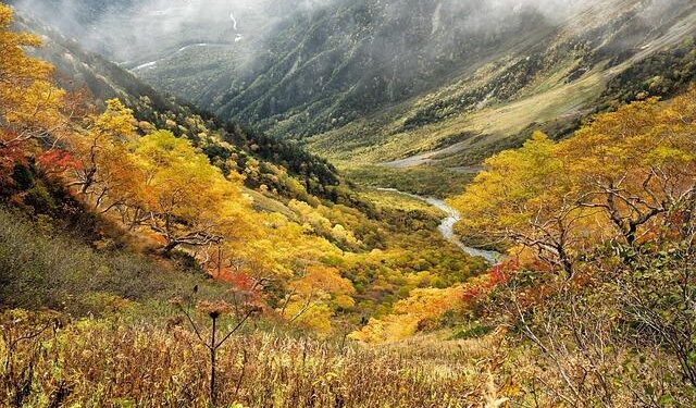 Benefits of joining euro zone outweigh downside for Sweden, new report says – Reuters