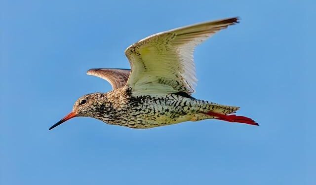 Finland clings to happiness crown as economic gloom deepens – Reuters