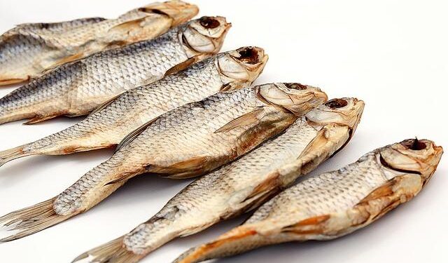 Leighton Meester styled by Law Roach for Vogue Greece is lush and dreamy – Lainey Gossip