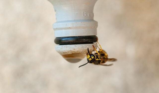 Brigitte Macron’s use of sexist slur sparks outrage in France – CNN