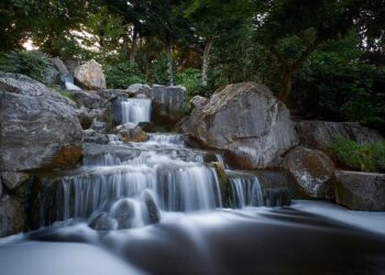 Brooks Bandits have three players set to represent Latvia at World Juniors – CHAT News Today