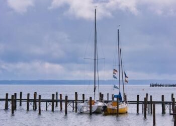 What do real investors think? – Luxembourg Times