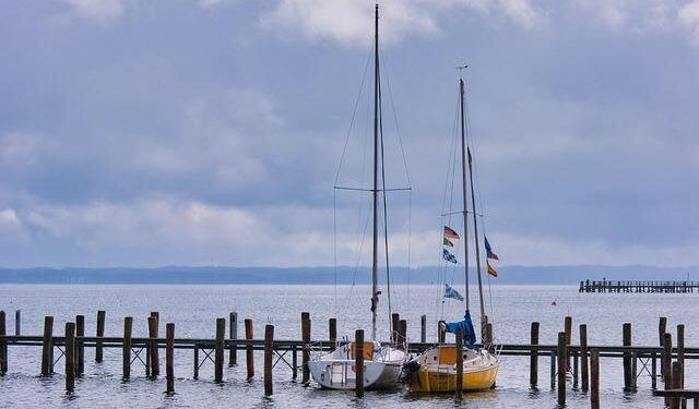 What do real investors think? – Luxembourg Times