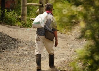 Armenia Requested EU Support to Fight ‘Malign’ Electoral Influence, Kallas Says – Kyiv Post