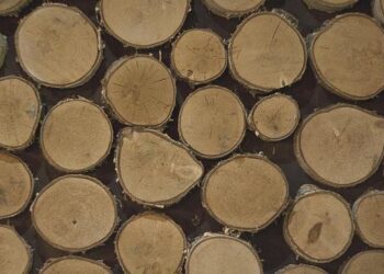 Secure Jimmy Lai’s release before seeking closer China ties, his son urges UK – Reuters