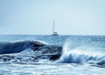 Spain and Denmark leading the way on green shipping fuels -… – Transport & Environment