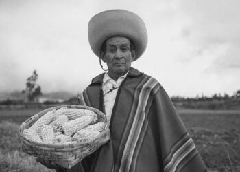 Farmers, Outrage, and Obedience: Greece’s Trap of False Rebellion – tovima.com