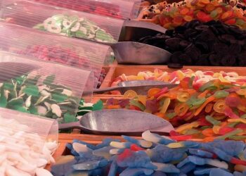 It’s a bear market: Latvia set to hold double ursine auction / Article – LSM