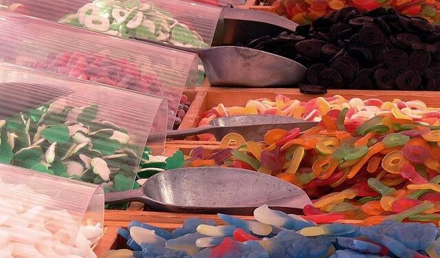 It’s a bear market: Latvia set to hold double ursine auction / Article – LSM