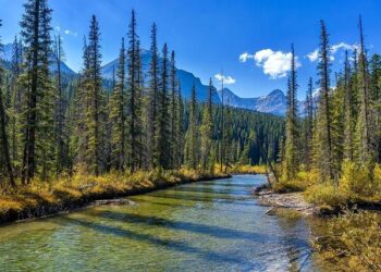 CONAF and the National Bank of Romania sign partnership for economic and financial education – business-review.eu