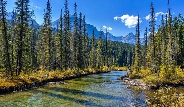 CONAF and the National Bank of Romania sign partnership for economic and financial education – business-review.eu