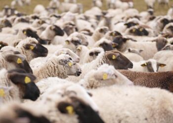 U.K. stocks higher at close of trade; Investing.com United Kingdom 100 up 0.85% By Investing.com – Investing.com