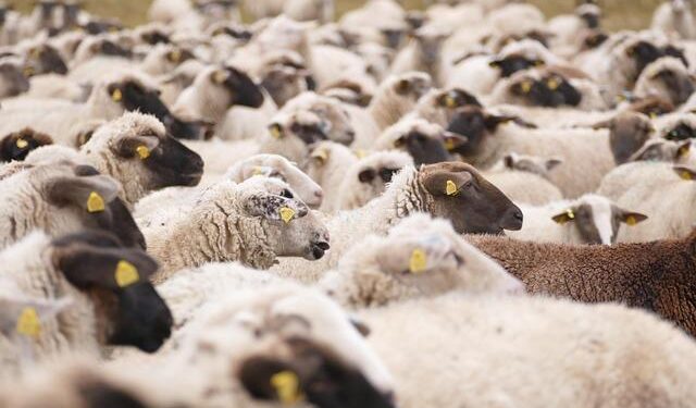 U.K. stocks higher at close of trade; Investing.com United Kingdom 100 up 0.85% By Investing.com – Investing.com