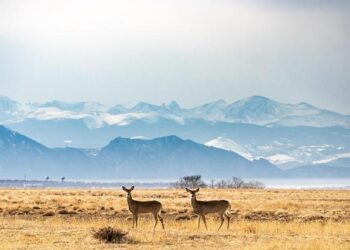 Drawn by a Vast Rocky Landscape on Ireland’s West Coast – The New York Times