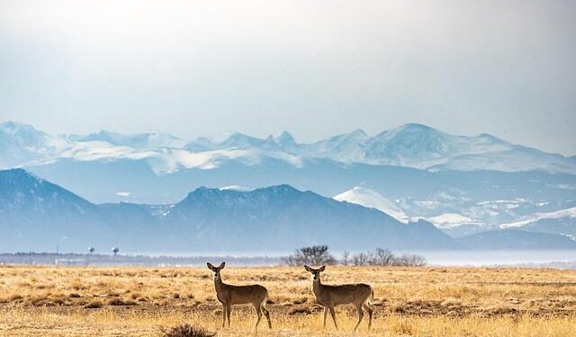 Drawn by a Vast Rocky Landscape on Ireland’s West Coast – The New York Times