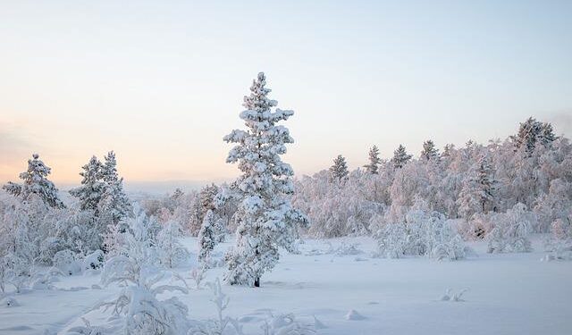 North Macedonian President foresees stronger ties with Türkiye – Yeni Safak English