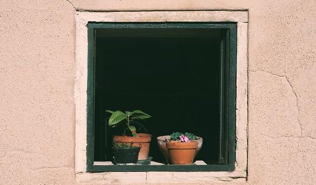 Digital 2026: Svalbard And Jan Mayen – DataReportal – Global Digital Insights