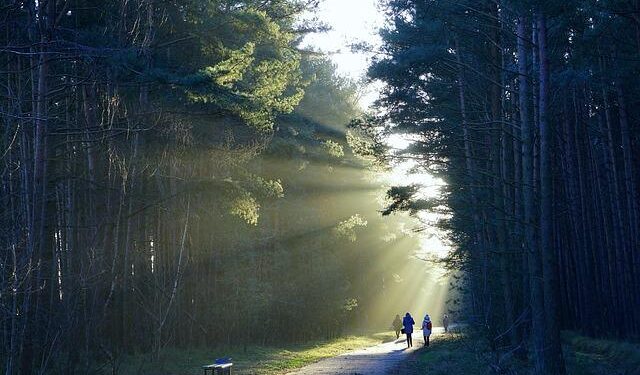 From Protégé to Partner: The Way Forward for Kosovo-U.S. Relations – New Lines Institute