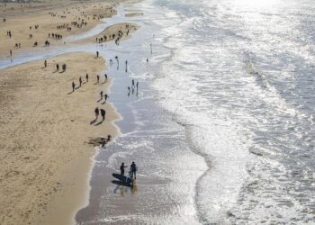 Netherlands – Coronavirus Pandemic Country Profile – Our World in Data