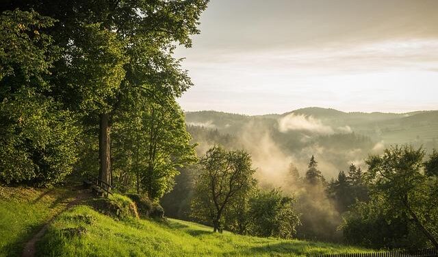 Austria vs San Marino: How to Watch, Odds, WCQ Preview – FOX Sports