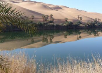 Libya says military chief, 4 others killed in airplane crash in Türkiye | Daily Sabah – Daily Sabah