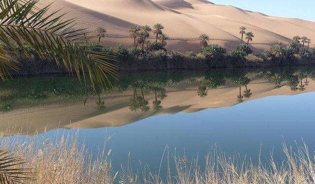 Libya says military chief, 4 others killed in airplane crash in Türkiye | Daily Sabah – Daily Sabah