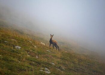 In Bulgaria, villagers fret about euro introduction – Manchester TImes