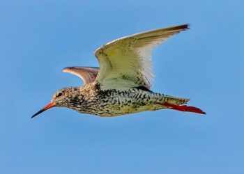 Finland Stuck in Doom Loop With Highest Jobless Rate in Decades – Bloomberg.com