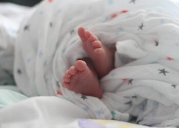 Number of Babies Born in Czech Republic Hits Historic Low – Prague Daily News