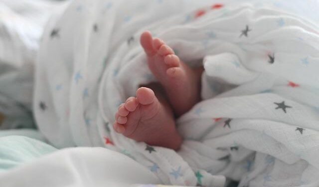 Number of Babies Born in Czech Republic Hits Historic Low – Prague Daily News