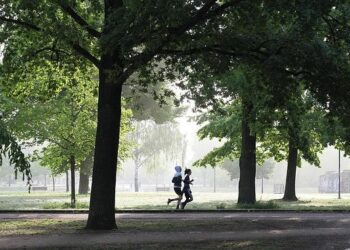 Exercise Cyber Coalition, NATO’s flagship Cyber Defence exercise, concludes in Estonia – shape.nato.int