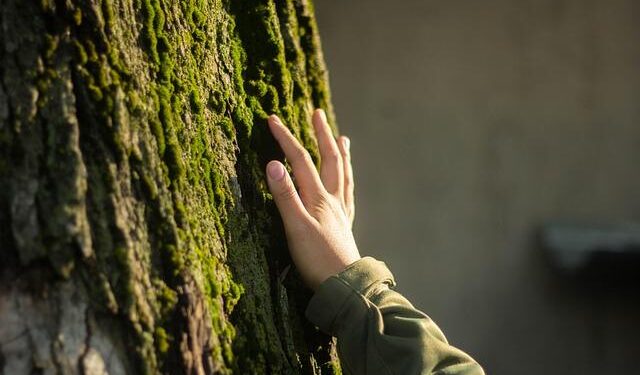 Direct flight linking Kazakhstan’s Almaty and China’s Chengdu launched – Qazinform