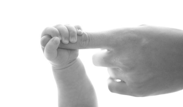 Jeremiah Chiu & Marta Sofia Honer: Recordings from the Åland Islands – Jazzwise