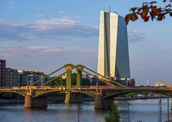 Central bank chief urges Austria to rethink Mercosur deal opposition – Reuters