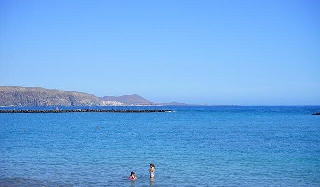 Cristiano Ronaldo’s star teammate Vitinha makes bold claim about Portugal’s 2026 World Cup chances – World Soccer Talk