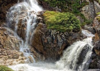 World Cancer Day fun run and awareness event – chronicle.gi