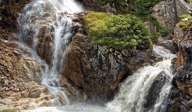 World Cancer Day fun run and awareness event – chronicle.gi