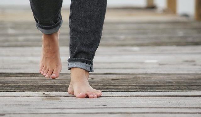 New boardwalk at Guernsey Sanctuary in Wellesley under (snow)cover for now – The Swellesley Report