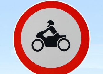 The Netherlands Has Banned Fireworks To Protect People, Animals, And The Environment – Plant Based News