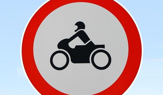 The Netherlands Has Banned Fireworks To Protect People, Animals, And The Environment – Plant Based News