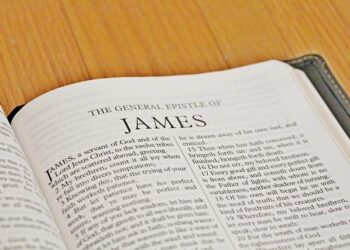 WJC Roundup: James Hagens scores twice, U.S. beats Slovakia – Sportsnet.ca