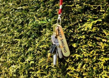 🇦🇲 SPACEX DROPS STARLINK INTO ARMENIA’S HARDEST TO REACH SCHOOLS Mountains stopped the cables but not Starlink. SpaceX is donating more than 100 Starlink kits to schools in Armenia’s most remote communities starting in 2026, bringing hi – x.com