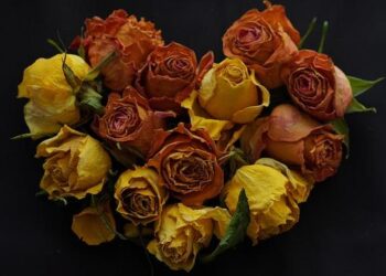 Travel Alert for Greece: How Temporary Airport Flight Suspensions Could Affect Tourists and Holiday Plans – Travel And Tour World