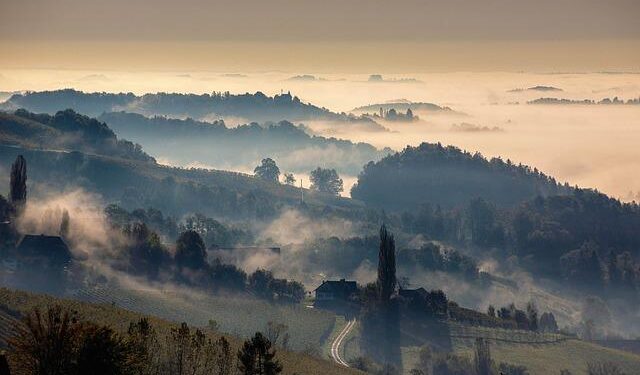 South Jersey native and Brewers prospect Frank Cairone hospitalized after serious car accident – FOX 29 Philadelphia