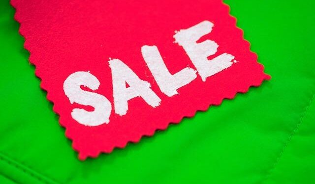 Tesla sales fall in key European markets but set record in Norway – WHTC