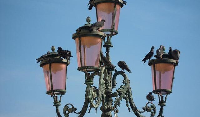 Marc Marquez had “special fire inside” in San Marino GP after sprint crash – Motorsport.com